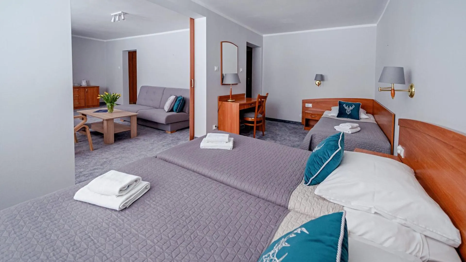 Pensjonat Bialy Potok Zakopane Guest house