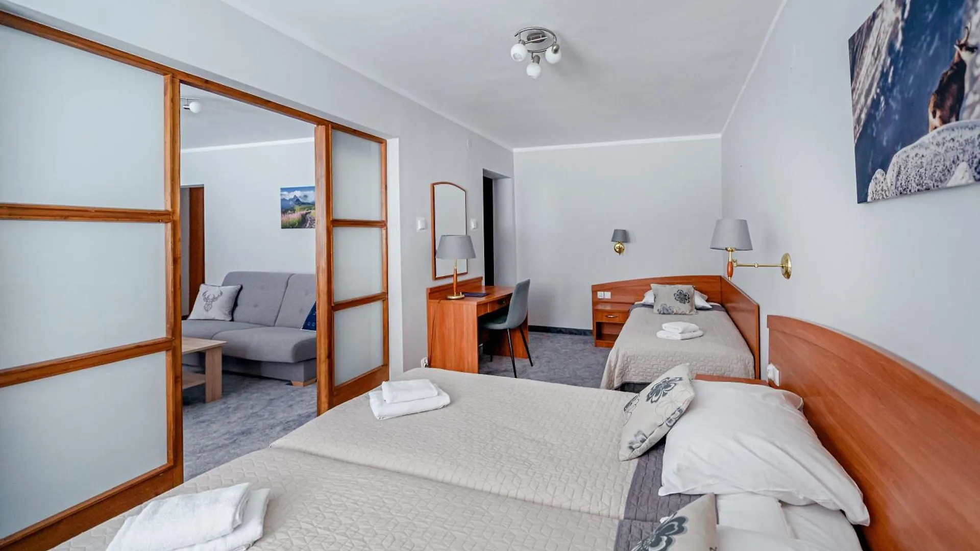 Guest house Pensjonat Bialy Potok Zakopane