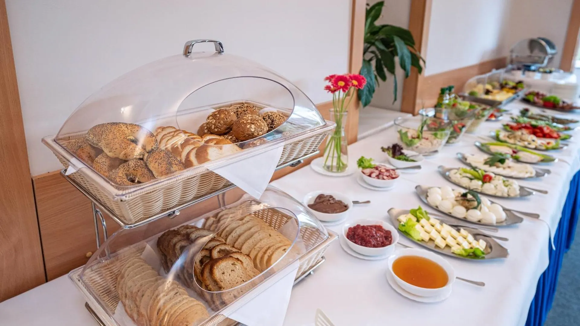 Pensjonat Bialy Potok Zakopane Guest house